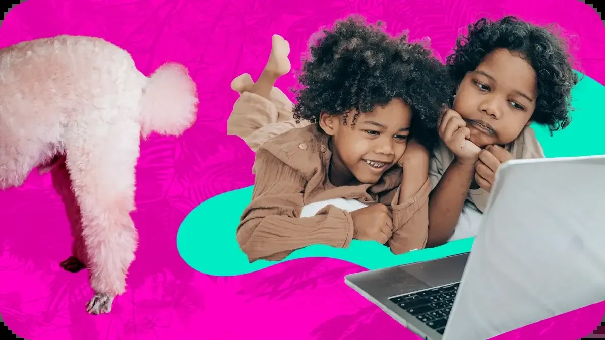 bina School — photo 6