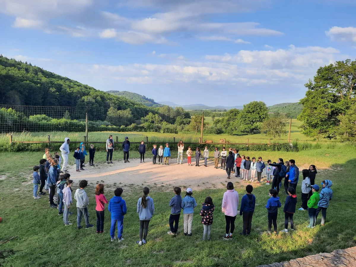 Living School — photo 2