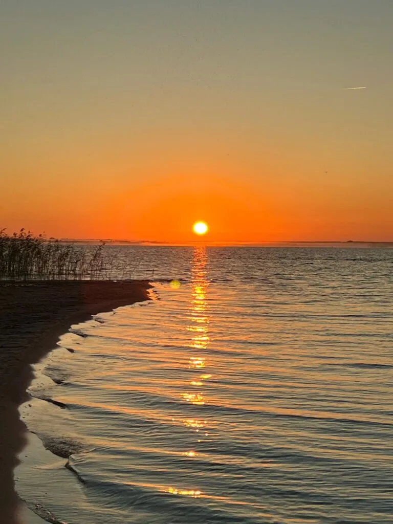 European School of Strasbourg — photo 8