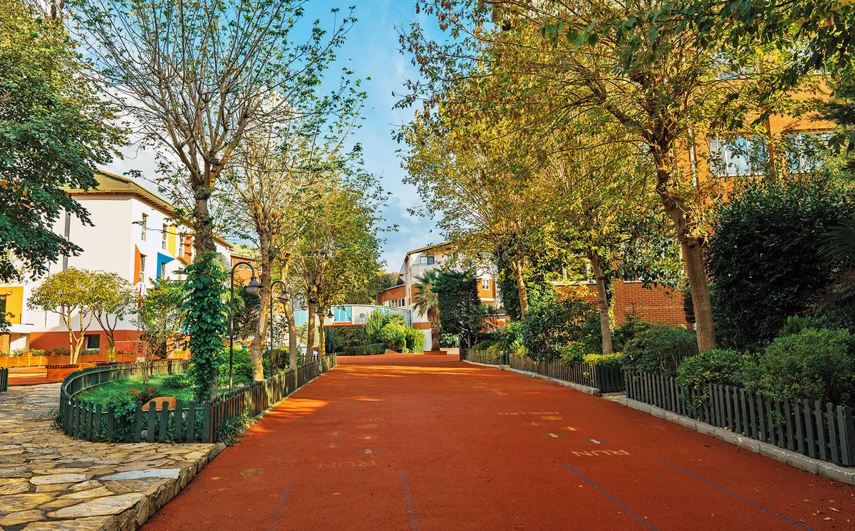 Açi Schools — photo 1