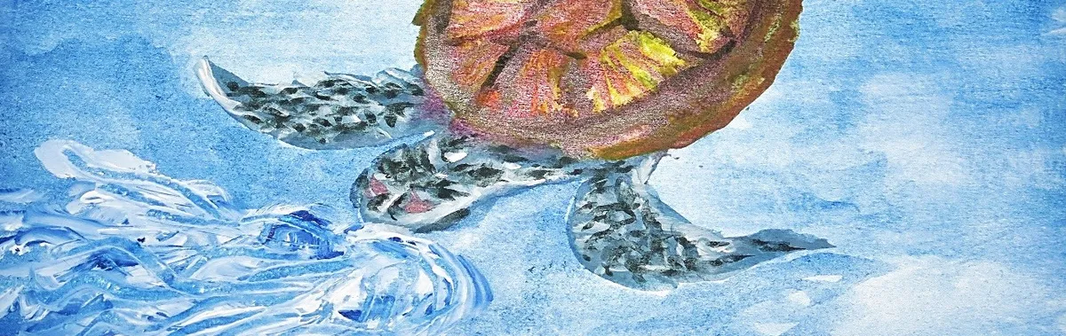 European School Brussels I