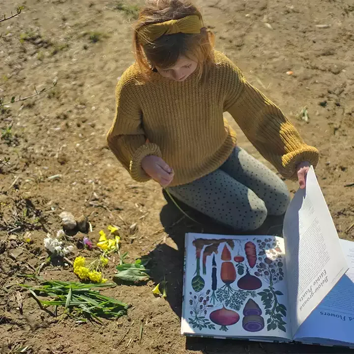 Alma Forest School — photo 1