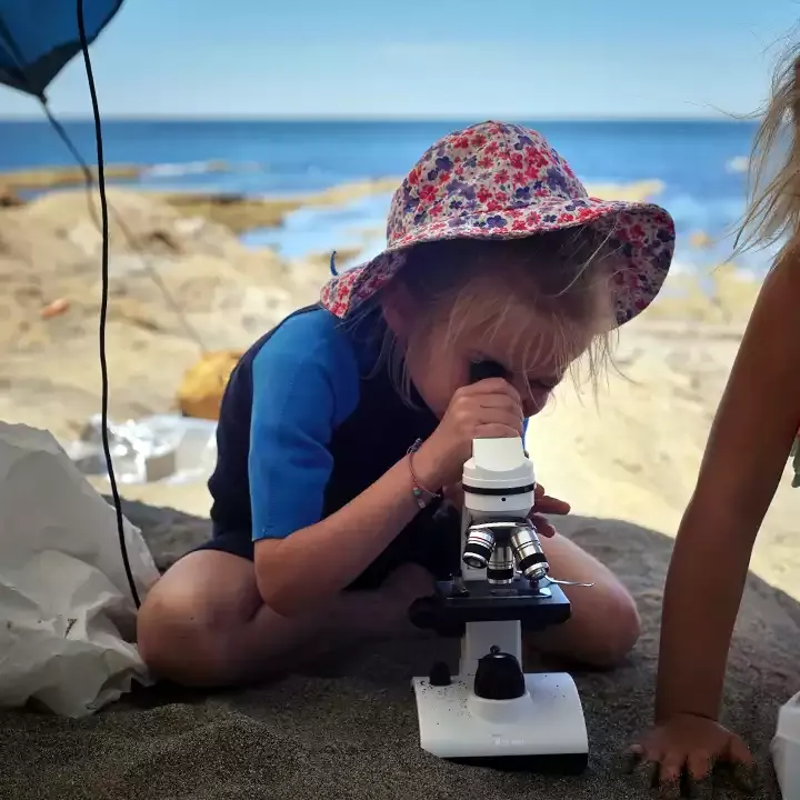 Alma Forest School — photo 4