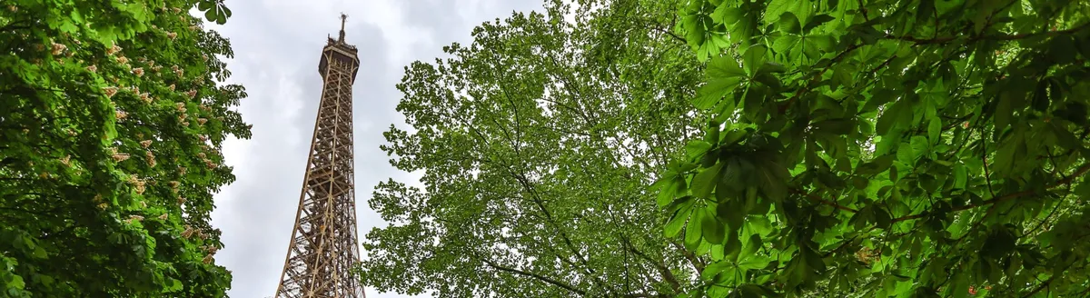 École Bilingue Chardin — photo 1