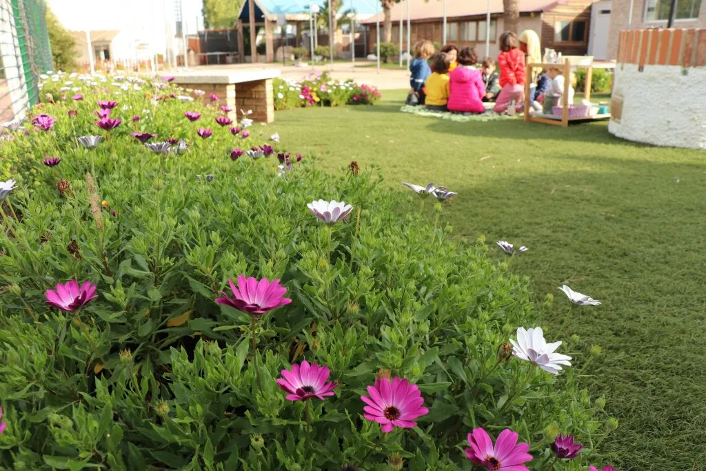 Escuela Alma Montessori