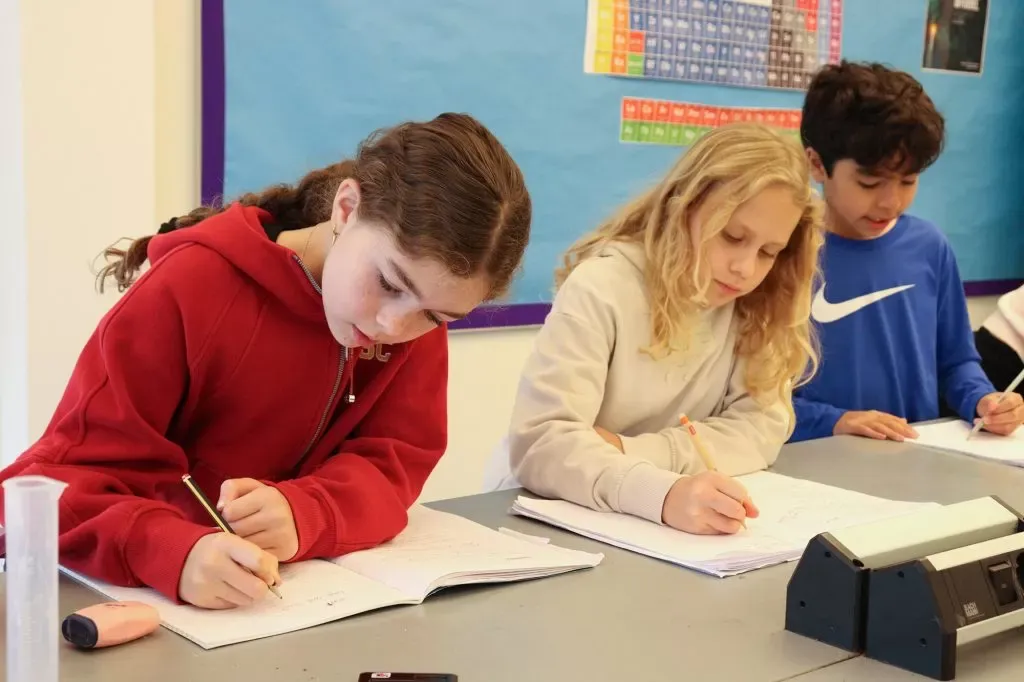 British International School of Stockholm — photo 8