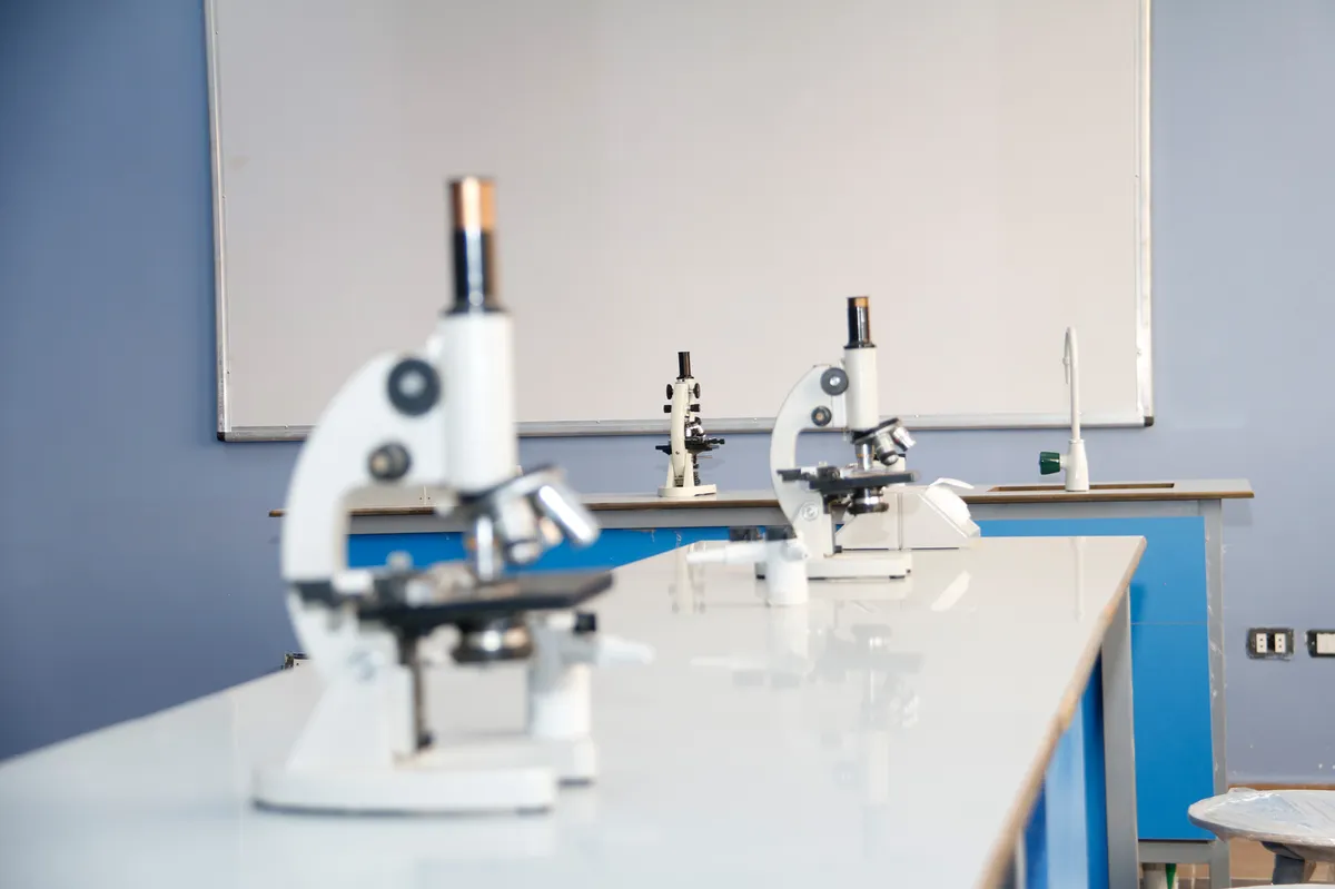 New Capital English Schools — photo 3