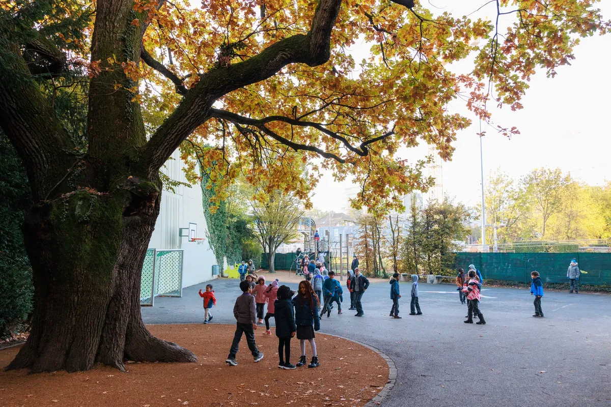 British School of Geneva — photo 3