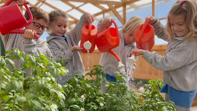 St. John's School — photo 8