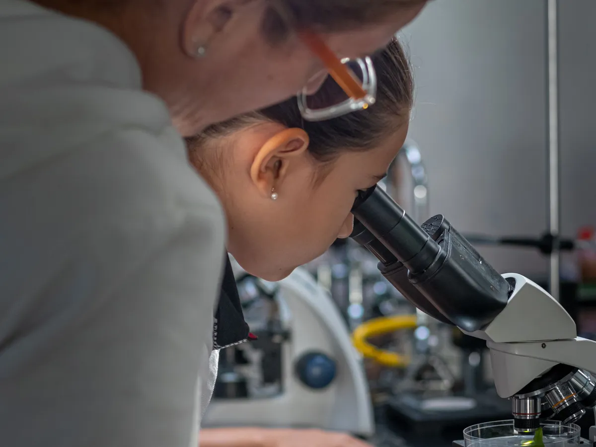 Franz Liszt Schule — photo 2