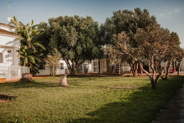 International Waldorf School Valencia