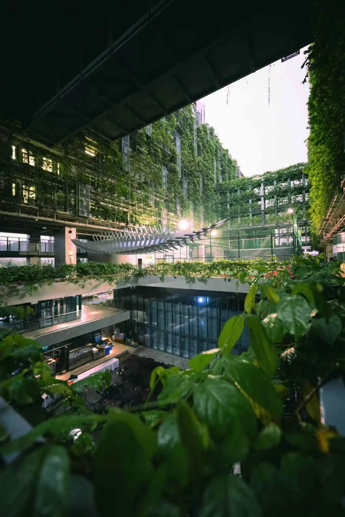 Shenzhen College of International Education — photo 2