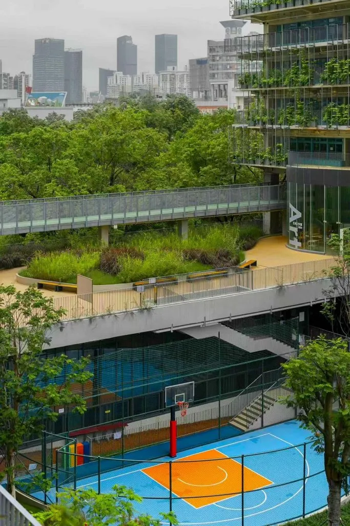 Shenzhen College of International Education — photo 4