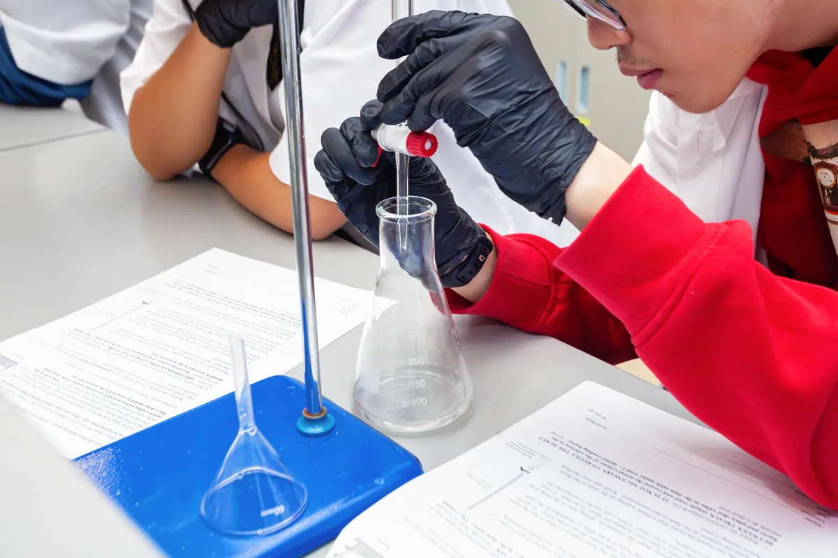 International School of EKOLA — photo 3