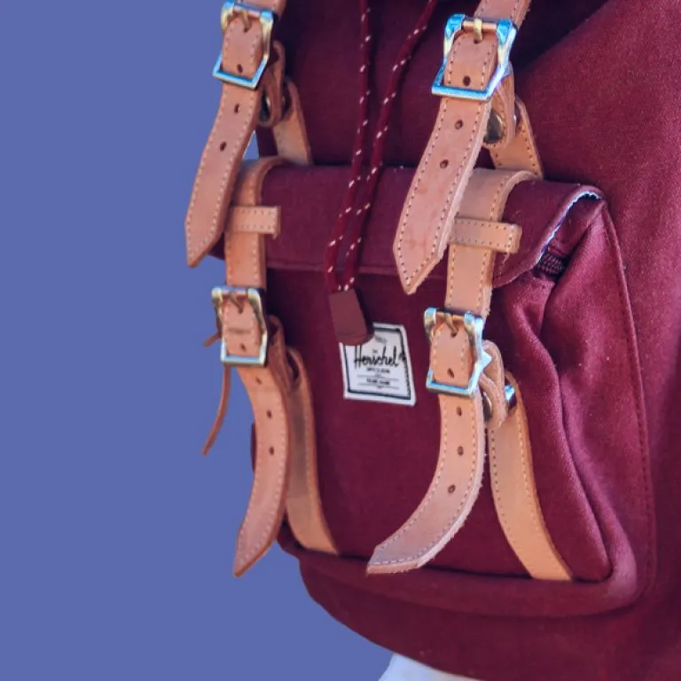 International School Groningen — photo 4