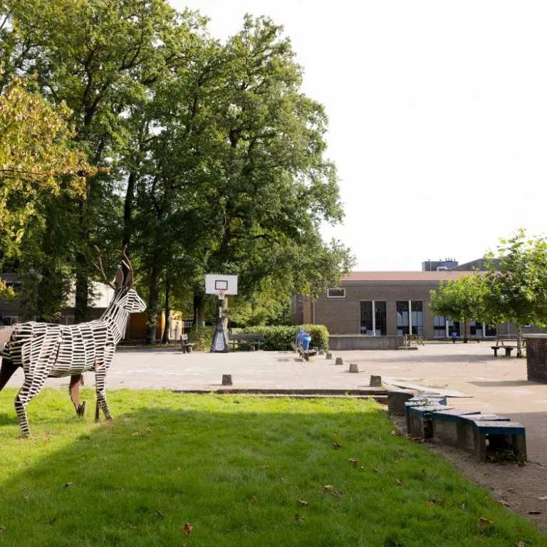 International School Groningen — photo 5