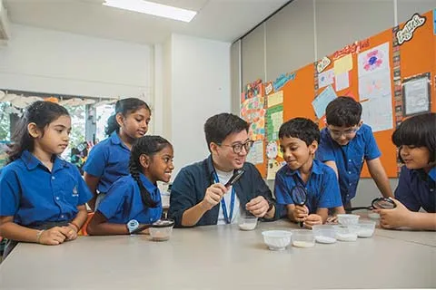 NPS International School — photo 8