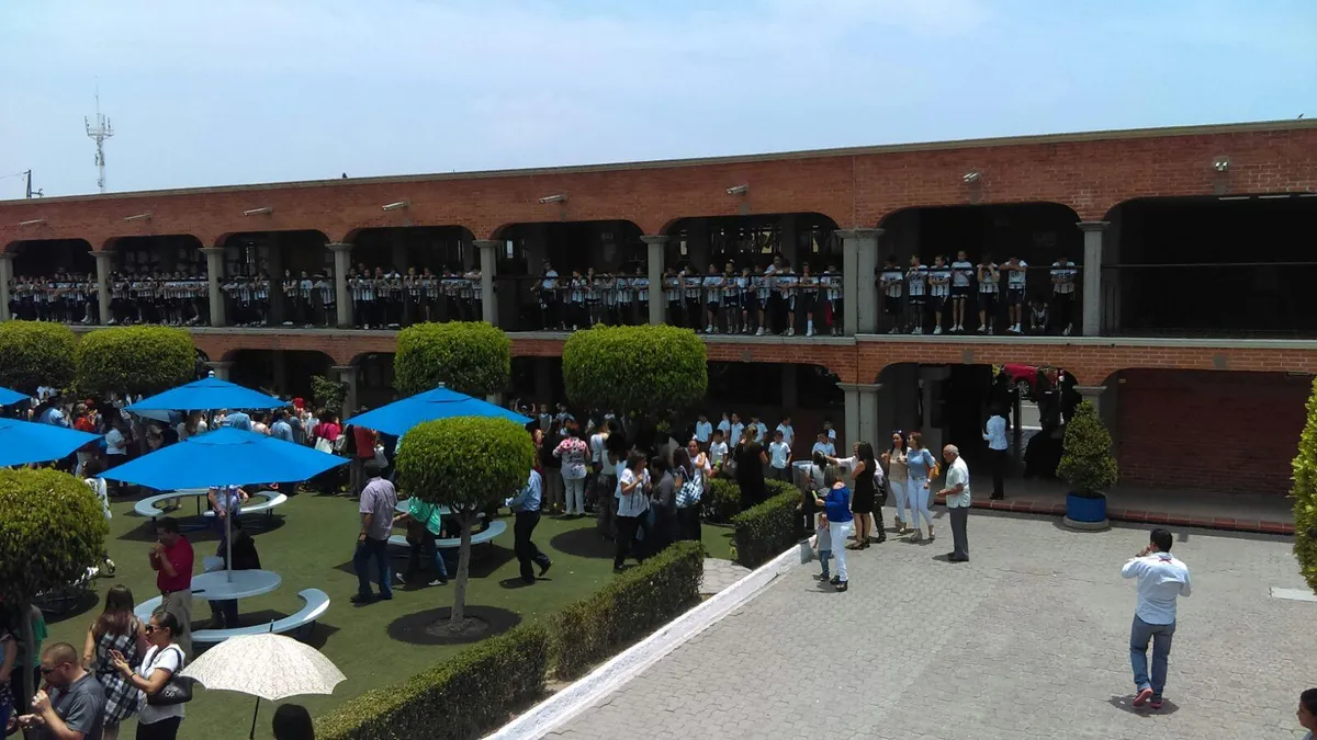 Instituto D'Amicis, S.C.