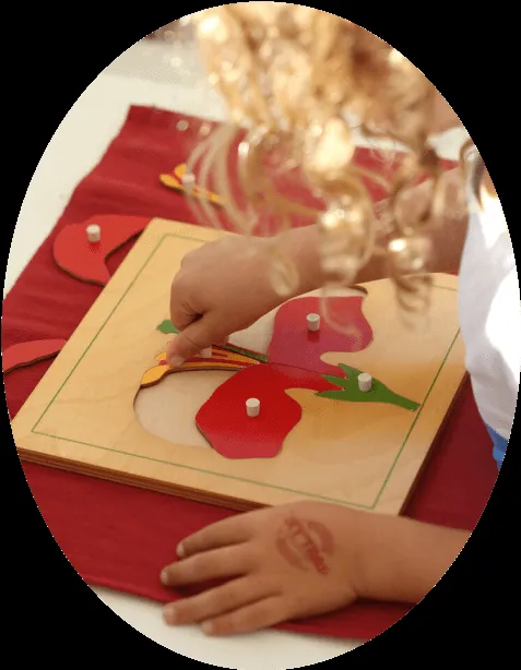 Esclaibes International Schools — photo 6