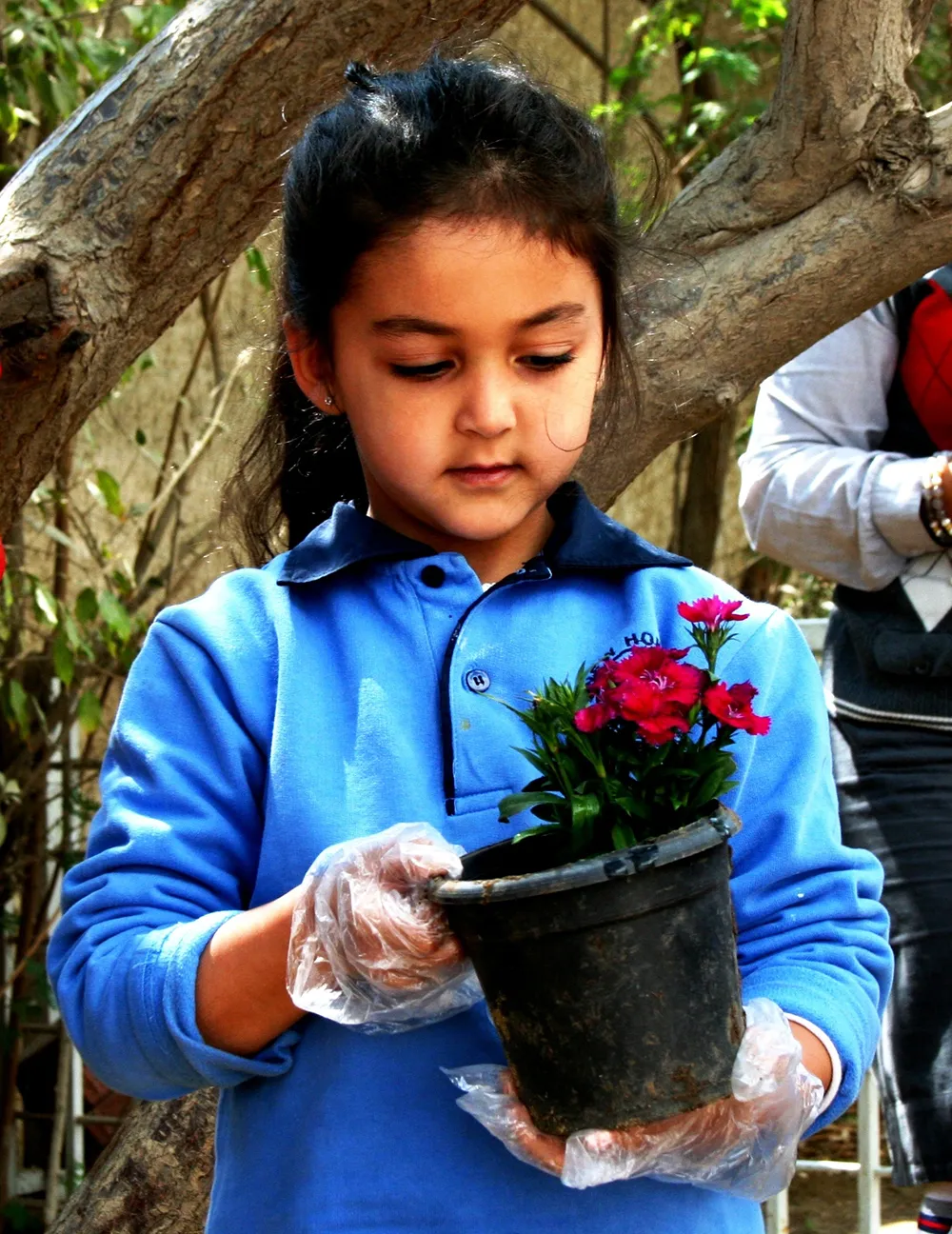 New Horizon International School — photo 6