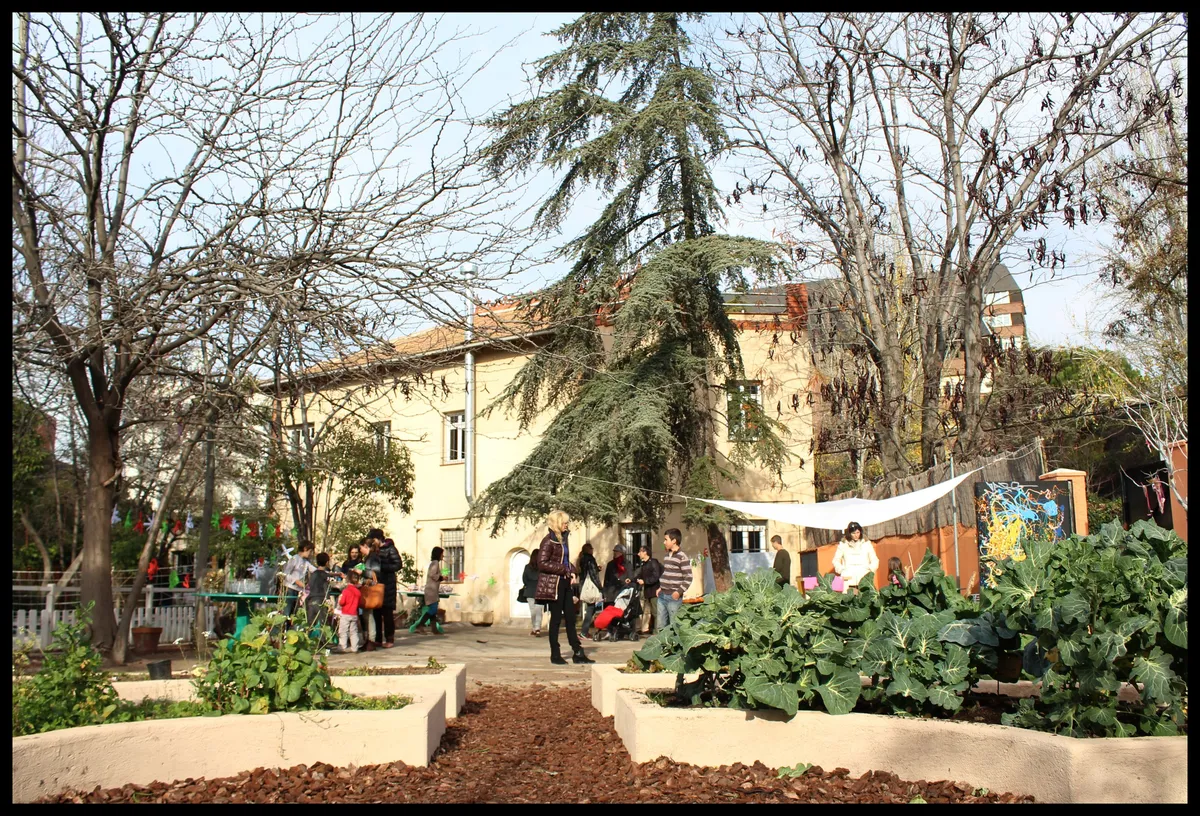 City Country School — photo 2