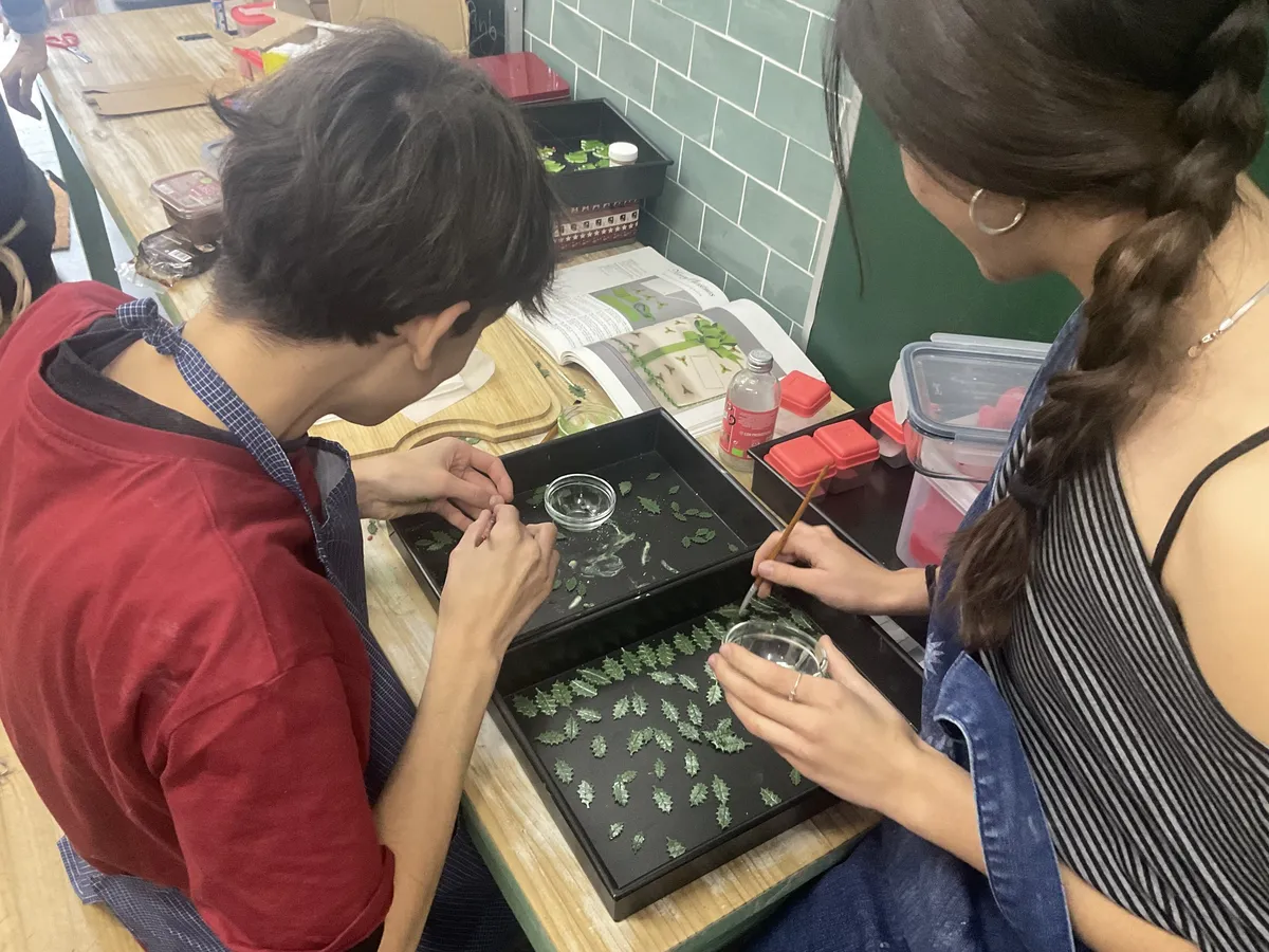 City Country School — photo 4