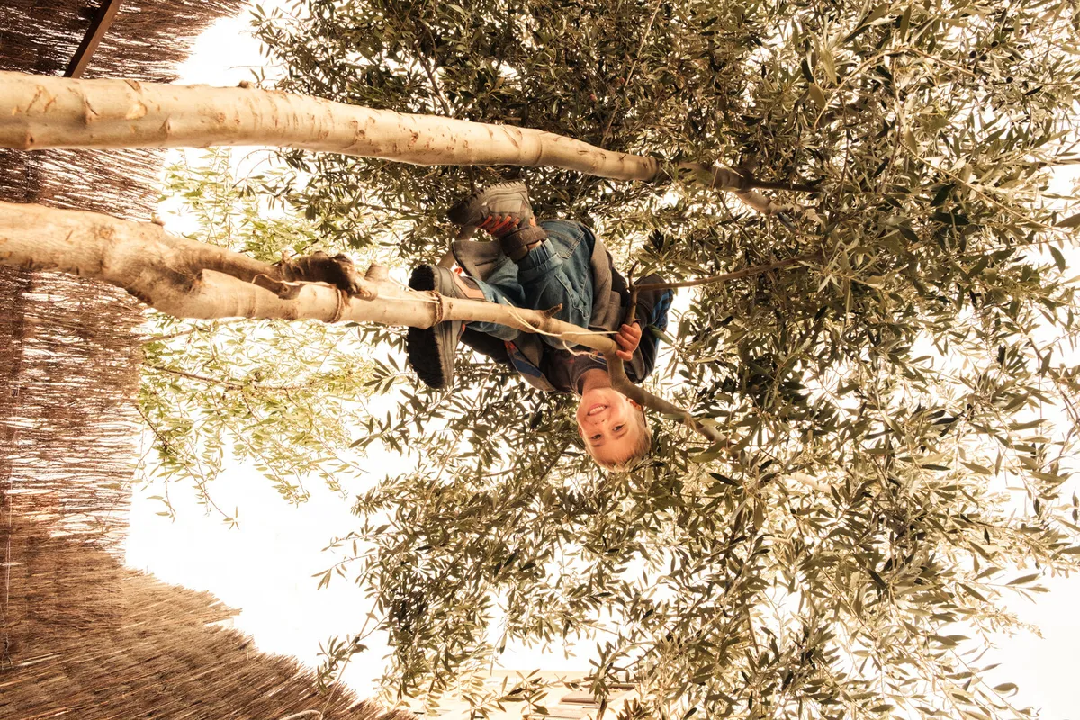 City Country School — photo 8