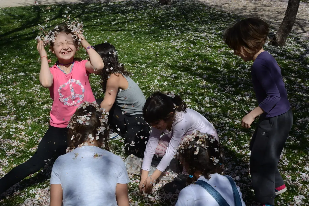 Mayrit Escuela Activa