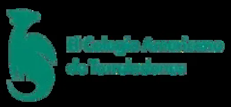 Dragon American School