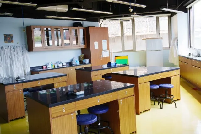 The Primacy Collegiate Academy — photo 6