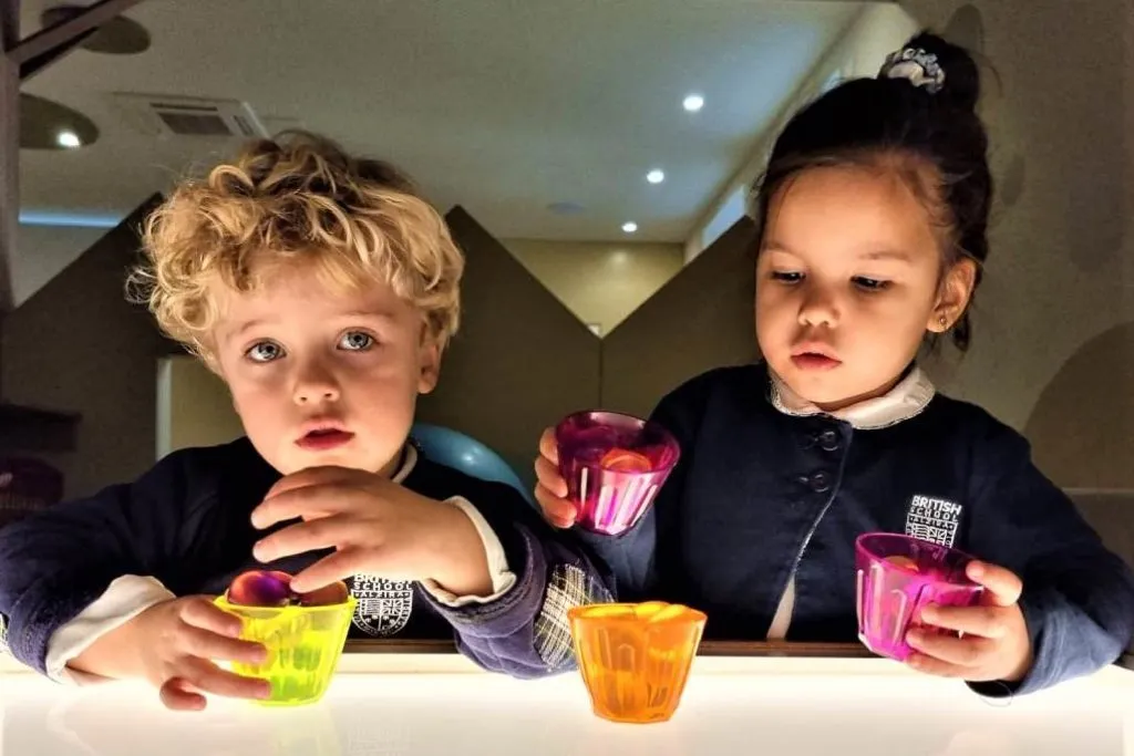 British School Alzira — photo 1