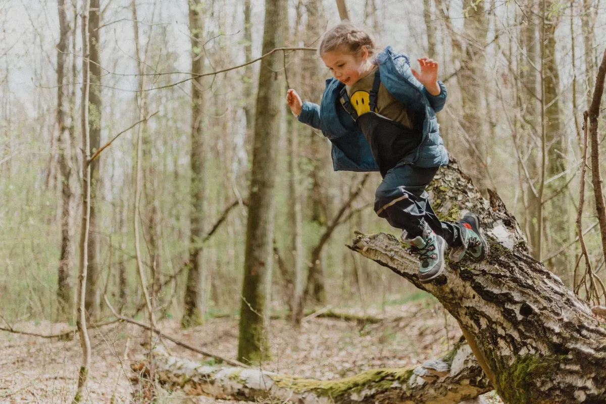 Pines Forest School — photo 3