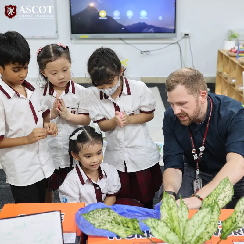 Ascot International School — photo 8