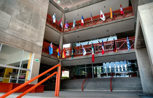 Colegio Internacional Terranova