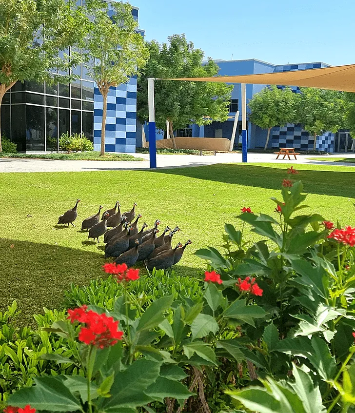 Brighton College Al Ain — photo 5