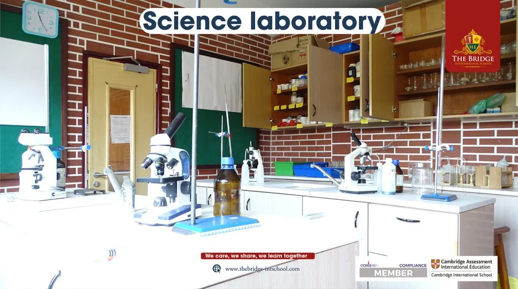 The Bridge International School — photo 4