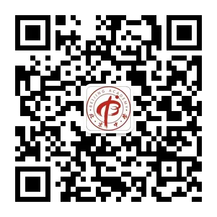 Beijing Academy — photo 1