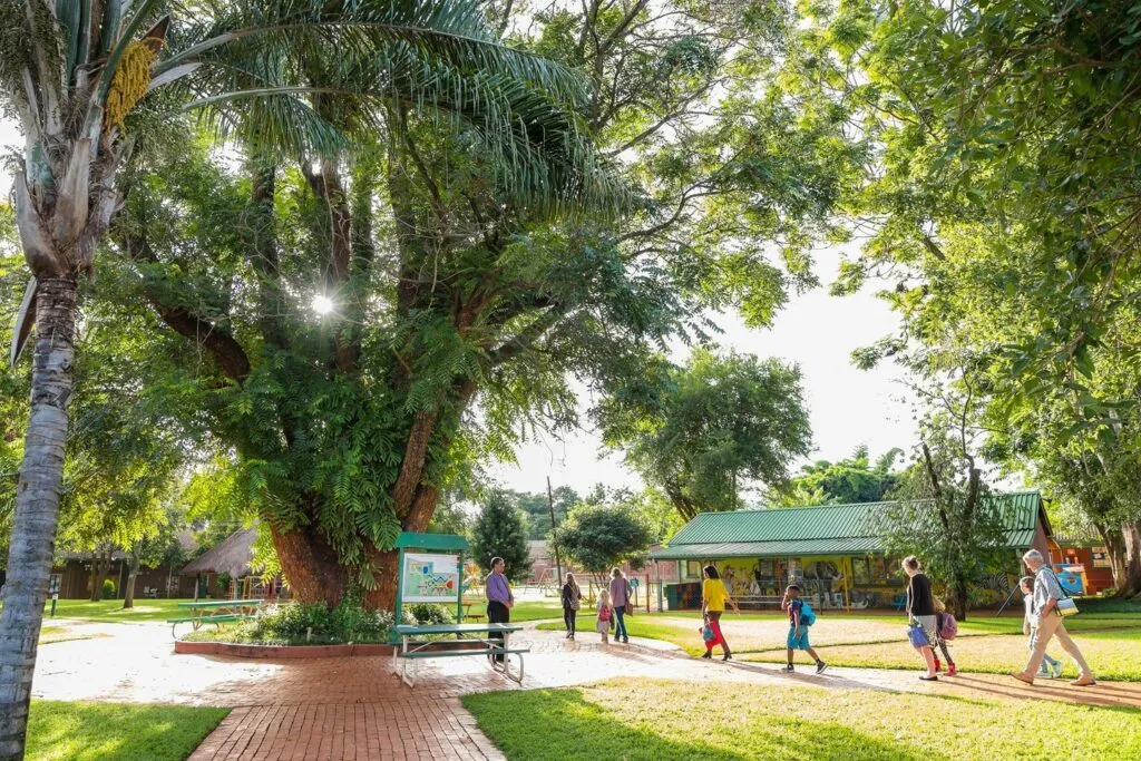 Harare International School