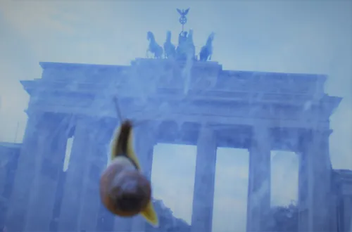 École Voltaire — photo 3