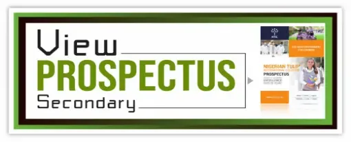 Nigerian Tulip International Colleges, Abuja