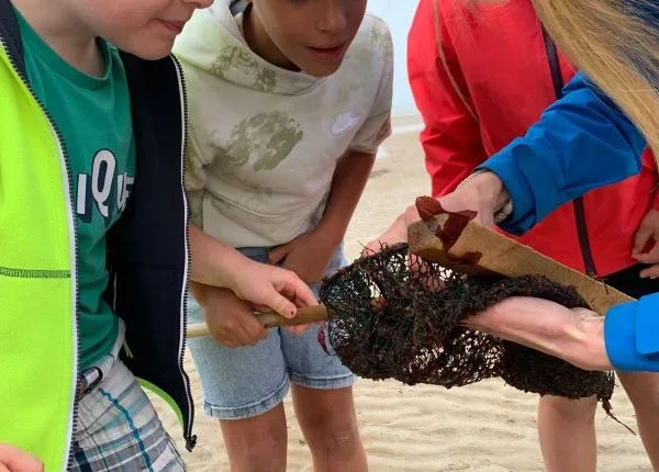 Deutsche Schule Paris — photo 4