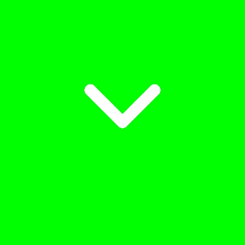 elc International School — photo 1