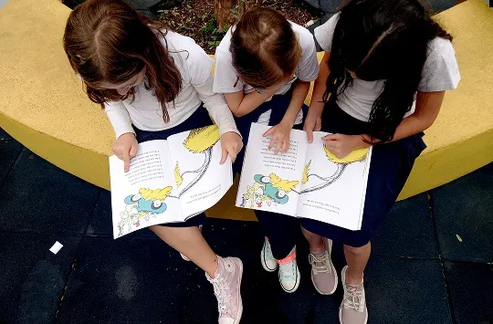 Escola Beit Yaacov — photo 3