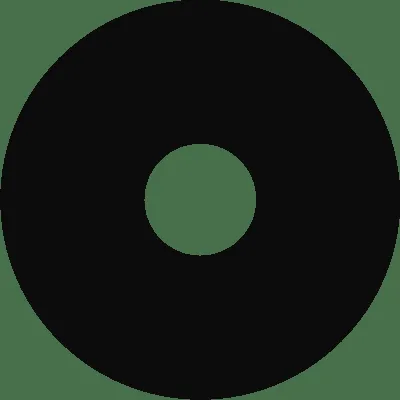 American High School Programme — photo 4