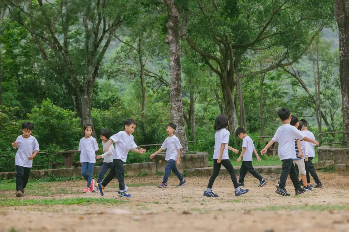 Forest House Waldorf School — photo 3