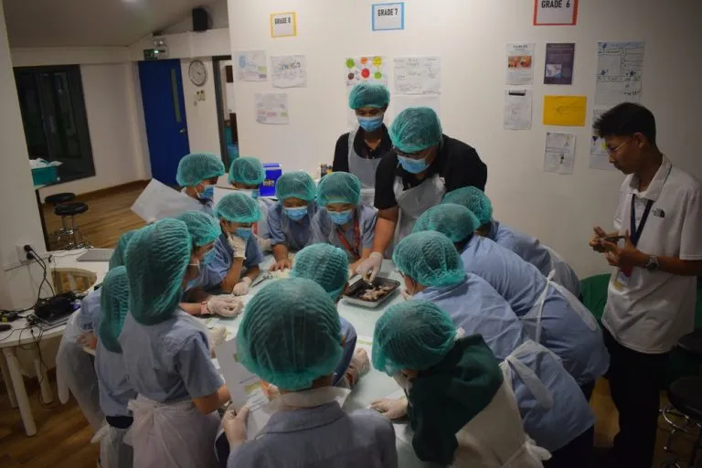 Yangon American International School — photo 1