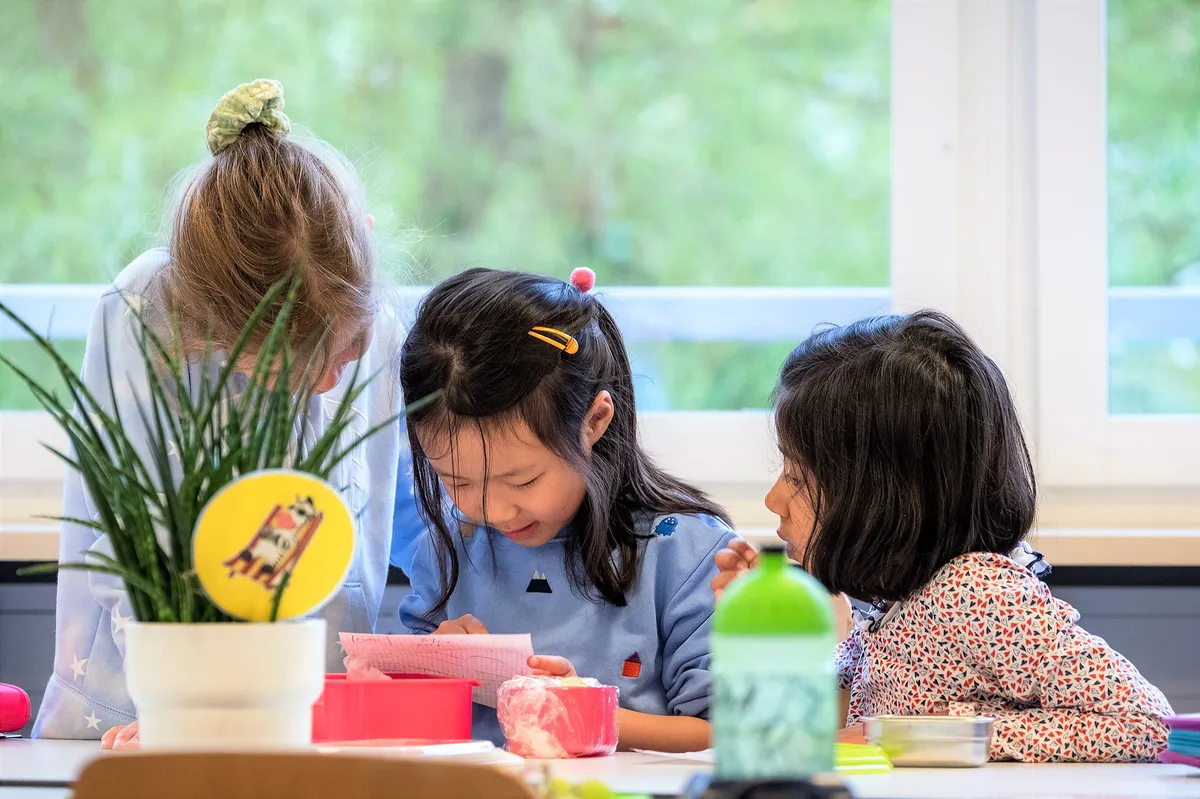 SIS Swiss International School Zürich — photo 5