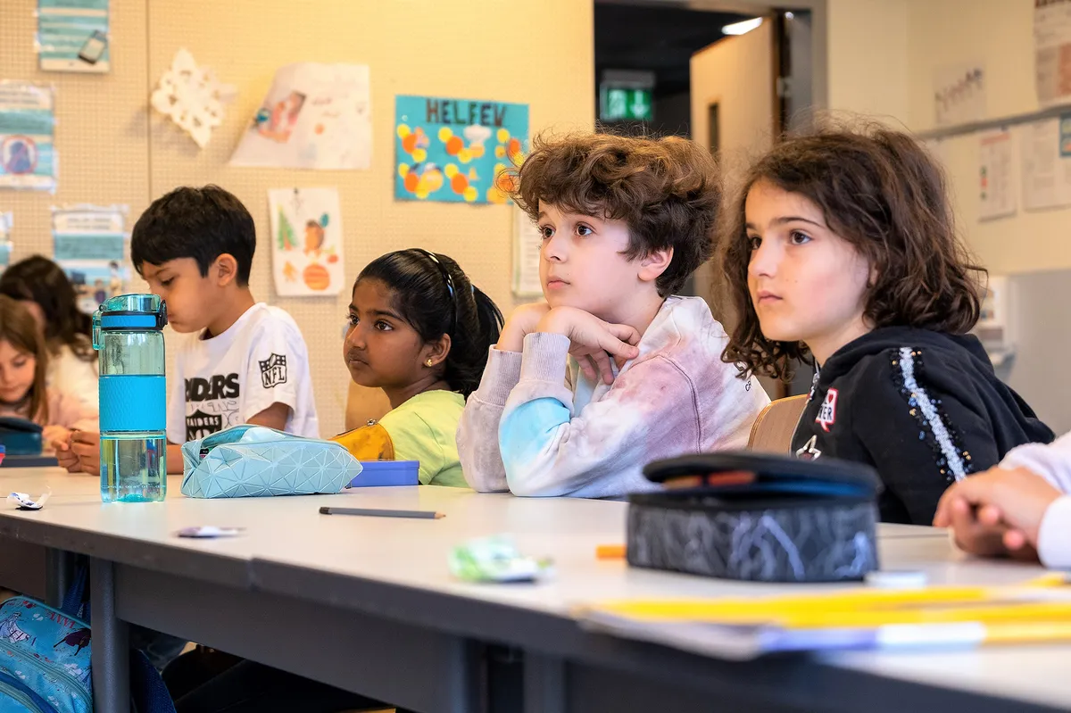 SIS Swiss International School Zürich — photo 7