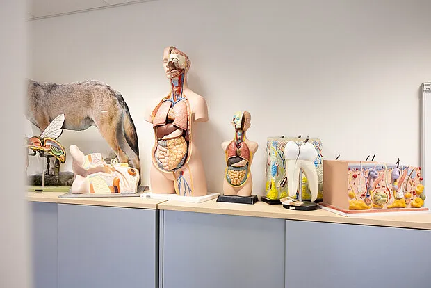 Phorms Bilingual School Hamburg — photo 8