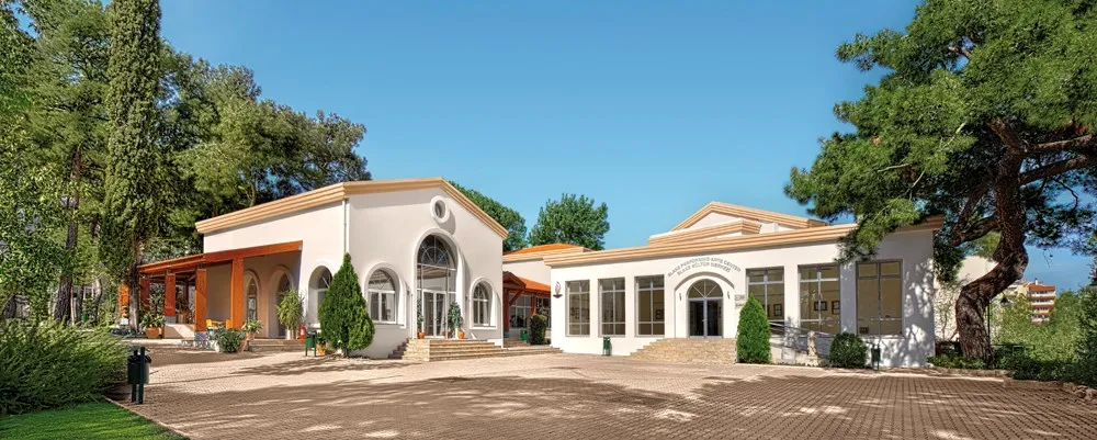 American Collegiate Institute — photo 1